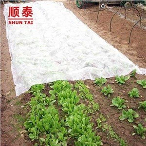 Tissus ki pa tise pou Jaden